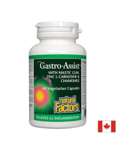 Мастикс, цинков карнозин и лайка за спокоен стомах Gastro Assist 60 капсули