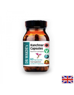 Kanchnar Канчнар Аюрведа 60 капсули