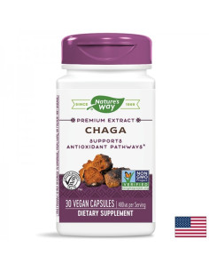 Чага - премиум екстракт Мощна антиоксидантна и имунна защита 480 mg, 30 капсули