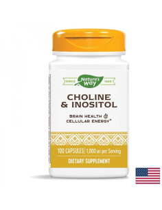 Холин и инозитол Невропротекция и метаболитен профил 500 mg, 100 капсули за 50 дни прием