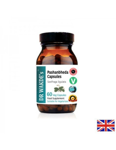 Pashanbheda Пашанбеда Аюрведа 60 капсули