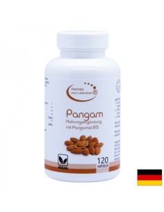 Pangam Nahrungsegänzung mit Pangamat B15 Пангам (витамин В15) 120 капсули