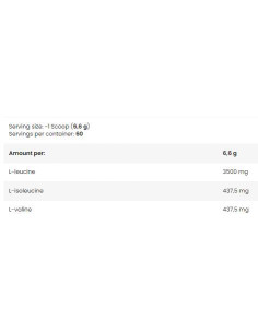 Nuclear Chain Reaction | BCAA 8:1:1 Powder 2