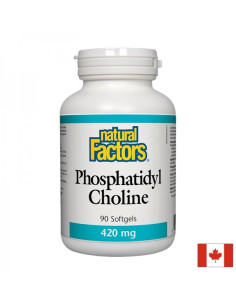 Phosphatidyl Choline/ Фосфатидил Холин 420 mg х 90 софтгел капсули