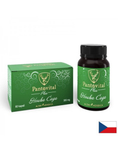 Пантовитал Плюс - Pantovital Plus Прах от рога на алтайски марал + Чага 60 капсули