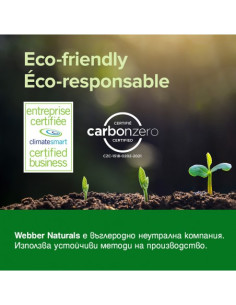 Магнезий цитрат с висока абсорбция Сърдечна и мускулна функция, нервна система 200 g прах с вкус на горски плодове 2