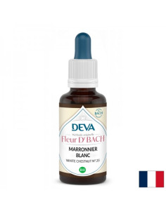 Памет и концентрация - Конски кестен Капки по метода на Бах №35 15 ml