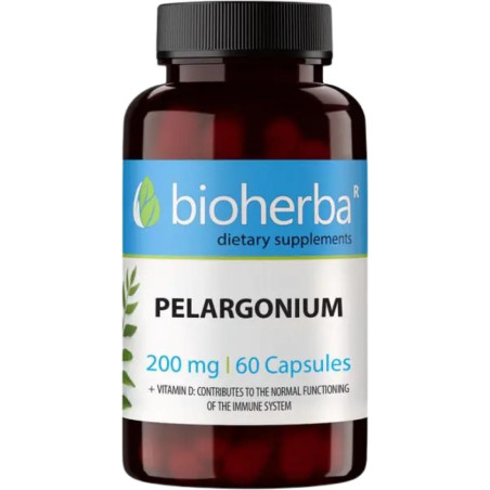 Bioherba Pelargnium 200 mg | African Geranium (Pelargonium Sidoides) [60 , 60 Дози]