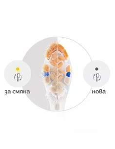 Комплект от 4 броя накрайници А3 Premium All-in-one HX9094/87 за електрически четки за зъби Philips Sonicare, твърдост на кос 2