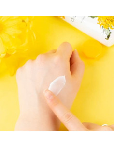 JIGOTT SECRET GARDEN CHRYSANTHEMUM HAND CREAM 2