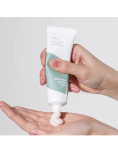 Isntree Mugwort Calming Cream 50ml 2