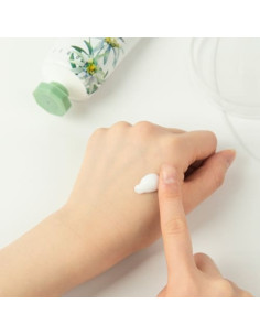 JIGOTT SECRET GARDEN EDELWEISS HAND CREAM 2