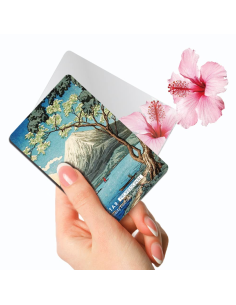 Silstar Takahashi Hiroaki Mt. Fuju From Lake Yamanaka Mirror