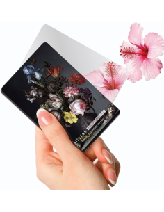 Silstar Balthasar Van Der Ast Flowers In a Vase With Shells and Insects Mirror