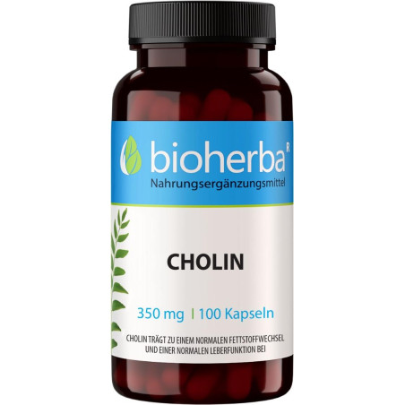 ХОЛИН ( Choline ) 350 мг.100 капсули ново
