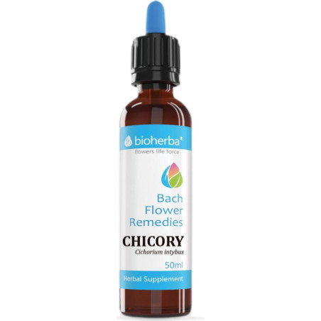 Chicory/Цикория, Синя жлъчка/Cichorium inthybus.