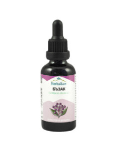 Тинктура Бъзак, Herbalkan, 50 мл