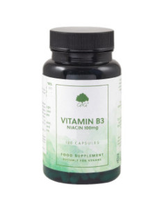 Витамин В3 ниацин 100 mg, G - G, 120 бр
