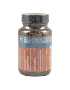 Ферментирала комбуча, Terra Nova, 50 капс 2