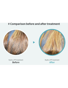 LADOR Hydro LPP Treatment 530ml 2