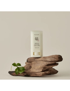 Beauty Of Joseon Matte Sun Stick Mugwort+Camelia 18g 2