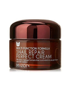 Mizon Snail Repair Perfect Cream