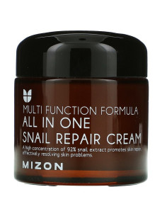 Mizon All In One Snail Repair Cream