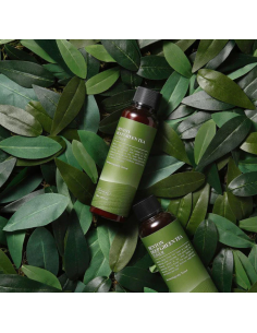 BENTON Deep Green Tea Lotion 2