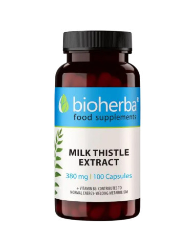 Milk Thistle 300 mg