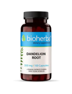 Dandelion Root 350 mg