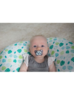 Залъгалка Dr.Browns ортодонтска 6 м+ светеща