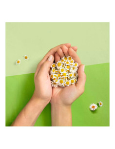 NATURELLA Ултра Нормал, дамски превръзки, Дуо, 20 бр. 2