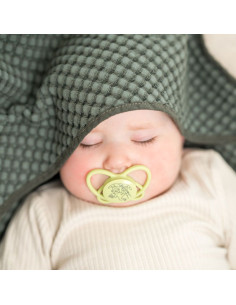 Залъгалки NIP My Butterfly Green с кутийка етап 1, 0-6 месеца, 2 бр. 2