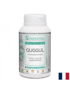 Висок холестерол Гугул 200 mg х 60 капсули