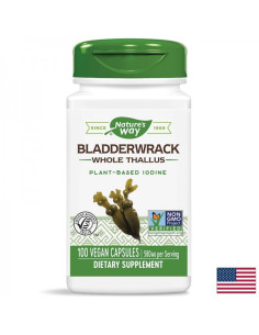 Кафяви водорасли / Фукус – за щитовидната жлеза Хипотиреоидизъм и наднормено тегло 580 mg, 100 капсули