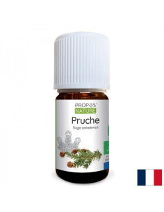 Нервна система Етерично масло от канадска цуга (ела) - Pruche 5 ml