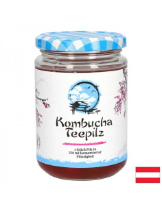 Подсилва имунитета Комбуча Чаена гъба с ферментирал плодов чай 200 ml