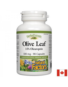 Olive Leaf Маслина (лист) 500 mg, 90 капсули