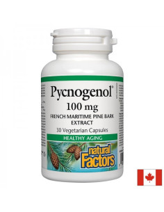 Пикногенол - антиейджинг и сърдечносъдова функция Здраве за кръвоносните съдове и кожата 100 mg, 30 капсули