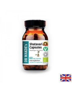 Shatavari Шатавари Аюрведа 60 капсули