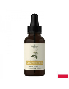 Имунитет и дихателни пътища Криптолепис (тинктура) 50 ml