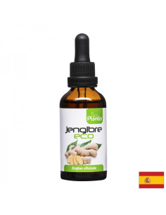 Джинджифил – при гадене и нарушено храносмилане Jengibre Eco Plantis Тинктура, 50 ml