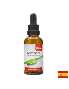 Широколист живовляк – дихателна система Llantén Plantis Тинктура, 50 ml
