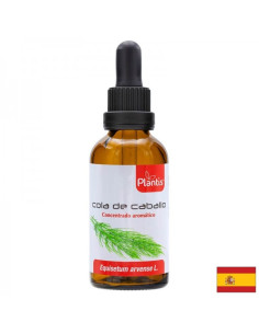 Полски хвощ – коса, кожа, нокти - костно здраве Cola de caballo Plantis Тинктура, 50 ml