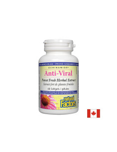 При вирусни инфекции Анти-Вирал – имуноукрепващ билков препарат 60 софтгел капсули