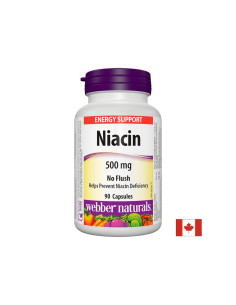Niacin/ Ниацин 500 mg x 90 капсули