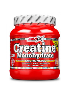 AMIX Creatine Monohydrate Powder / 0.3g.