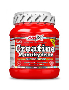 AMIX Creatine Monohydrate Powder / 0.5g.