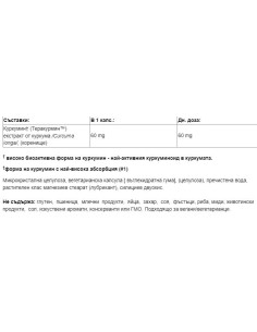 CurcuminRich | Theracurmin 60 mg 2