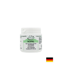 Nopal Нопал кактус 120 капсули